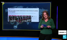 Pornographie, images de jeux vidéo : attention à ces intox sur les soldats nord-coréens en Russie !