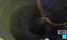 Des chaussettes haute couture