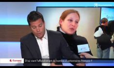 Mais d'où vient l'effondrement du nombre d'actionnaires français ?