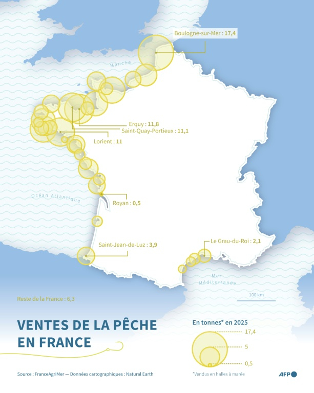 Carte sur le volume de ventes de pêche aux halles à marée en France en 2025 ( AFP / Sherine ELSAYARY )