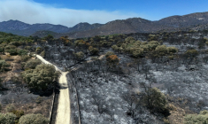 Une vue aérienne du sol calciné dans la région du Camino de Navahonda, à la suite d'un incendie de forêt survenu près de Robledo de Chavela, à 60 kilomètres à l'ouest de Madrid, le 27 juillet 2026  ( AFP / OSCAR DEL POZO )