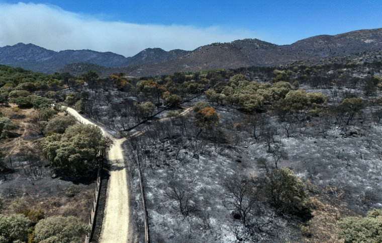 Une vue aérienne du sol calciné dans la région du Camino de Navahonda, à la suite d'un incendie de forêt survenu près de Robledo de Chavela, à 60 kilomètres à l'ouest de Madrid, le 27 juillet 2026  ( AFP / OSCAR DEL POZO )