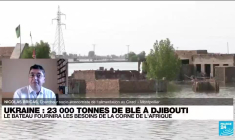 Crise alimentaire : l’Afrique à l’abri, "on peut s’inquiéter de la situation au Pakistan"