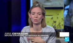 Néonicotinoïdes : l'Europe sacrifie-t-elle ses abeilles ?