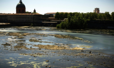 Photo du niveau de la Garonne dans le centre de Toulouse, le 28 juillet 2026  ( AFP / Lionel BONAVENTURE )