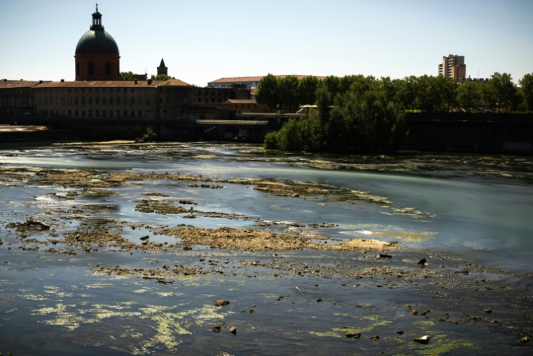 Photo du niveau de la Garonne dans le centre de Toulouse, le 28 juillet 2026  ( AFP / Lionel BONAVENTURE )