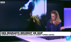 Expulsions de Tunisie : des migrants meurent de soif dans le désert libyen