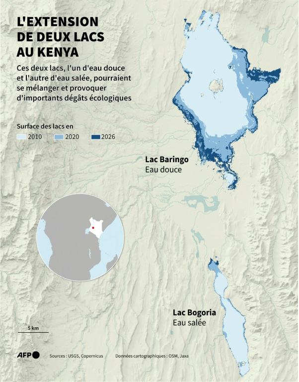Carte montrant les surfaces des lacs Baringo et Bogoria au Kenya en 2010, 2020 et 2026, qui risquent de se mélanger dans le futur ( AFP / Pauline PAILLASSA )