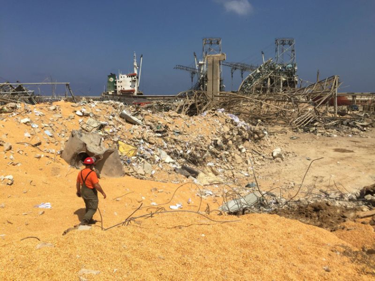 L'OMS LANCE UN APPEL DE FONDS DE 15 MILLIONS DE DOLLARS POUR BEYROUTH