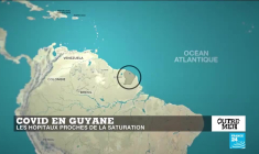 À La Réunion, l'épidémie de dengue plus mortelle que le Covid-19