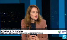 Cop 26 à Glasgow : des pays s'engagent contre la déforestation.