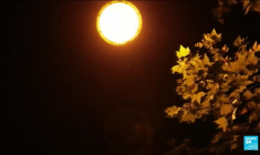 Pour profiter de la nuit des étoiles, mieux vaut s'éloigner des villes