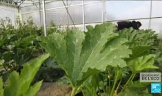 Pouvoir d’achat : la météo de l’économie