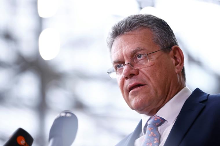 Le commissaire européen au Commerce, Maros Sefcovic, le 15 mai 2025 à Bruxelles ( AFP / SIMON WOHLFAHRT )