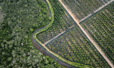 La Commission européenne a proposé mardi d'assouplir sa loi phare contre la déforestation, afin de faciliter sa mise en oeuvre qui a connu de multiples couacs ( AFP / STR )