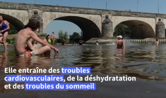 Des milliers de morts cet été en Europe à cause du changement climatique, selon des chercheurs
