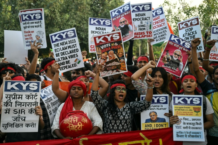 Des partisans du Parti du peuple des cafards (CJP) manifestent pour réclamer la démission du commissaire électoral en chef, Gyanesh Kumar, le 16 octobre 2026 à New Delhi, en Inde ( AFP / Arun SANKAR )