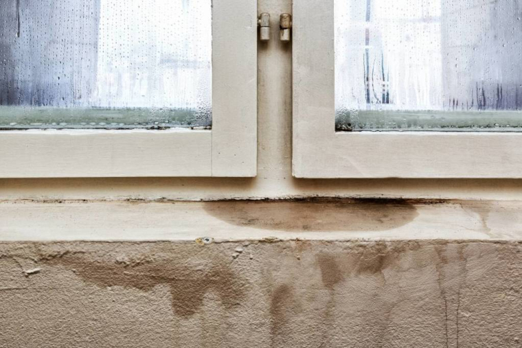 Achat immobilier : comment déceler les vices cachés ? / iStock.com - wabeno
