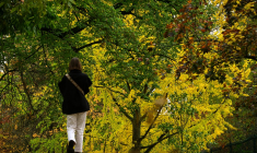 ( AFP / PHILIPPE LOPEZ )