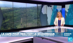 Françoise N'Thépé, l'architecte qui construit un écrin pour les Amazones et les rois du Dahomey