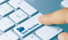 (Crédits photo: © momius - stock.adobe.com)