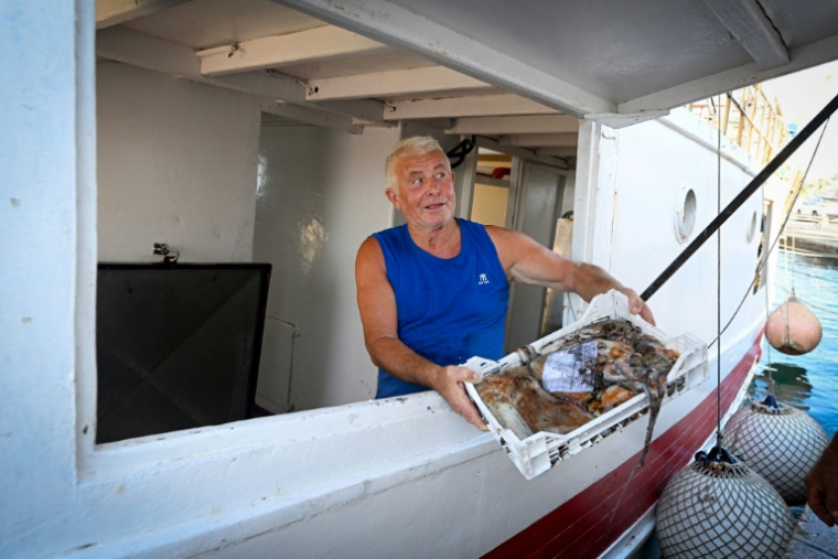 Un pêcheur décharge sa pêche au port de Lampedusa après une journée en mer, le 8 juillet 2026 en Italie ( AFP / Tiziana FABI )