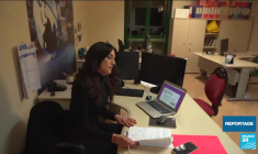 Le marché du bois, un secteur économique stratégique