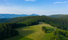 Investir dans le bois, toujours une bonne idée ?-iStock-Florent MARTIN