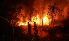 Des pompiers luttent contre un incendie à Banjarbaru, en Indonésie, le 13 octobre 2026 ( AFP / MUDA SAGALA )