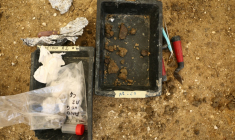Des fragments d'os de dinosaure fossilisé trouvés sur un site de fouilles d'Angeac-Charente, le 19 juillet 2025 en Charente ( AFP / ROMAIN PERROCHEAU )