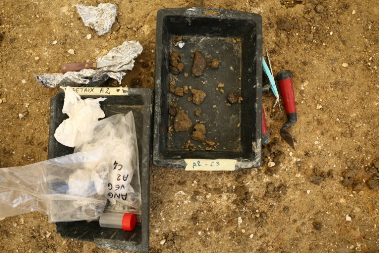 Des fragments d'os de dinosaure fossilisé trouvés sur un site de fouilles d'Angeac-Charente, le 19 juillet 2025 en Charente ( AFP / ROMAIN PERROCHEAU )