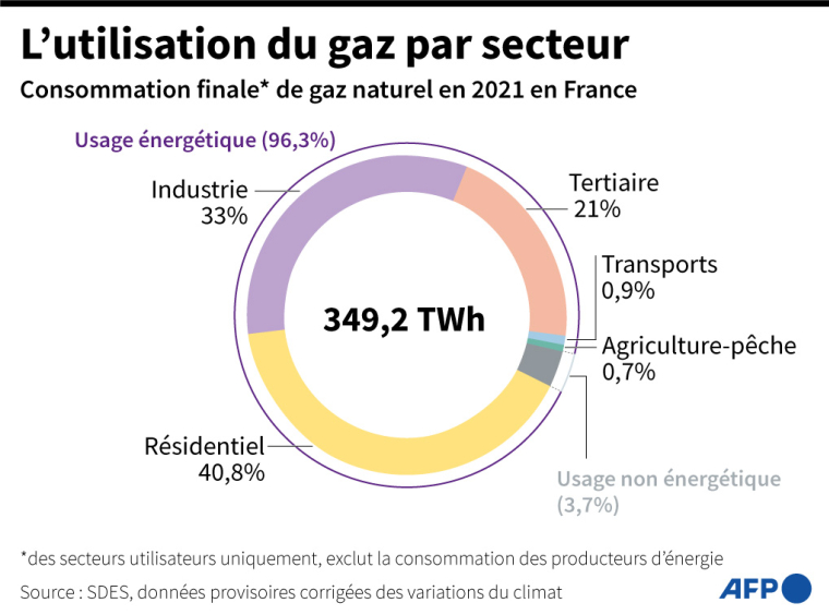 Consommation de gaz naturel par secteur en France en 2021 ( AFP / )