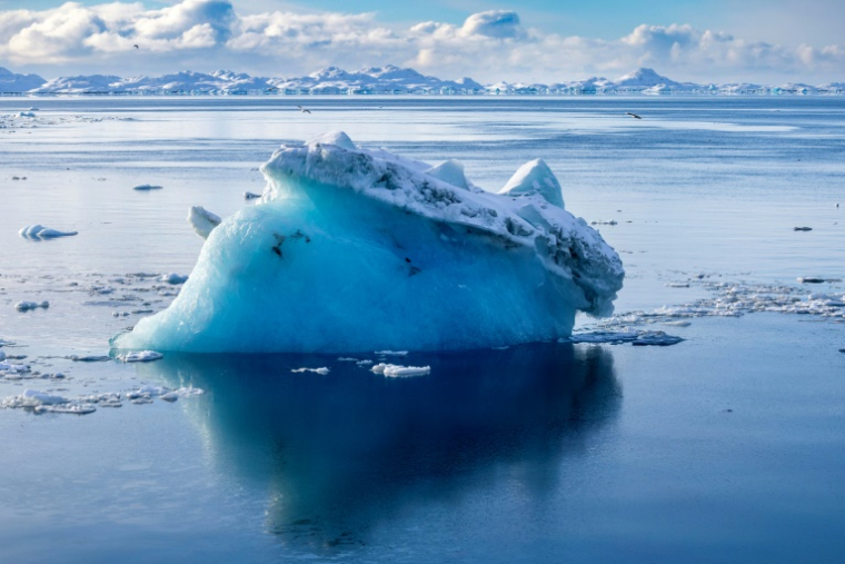 L’Antarctique semble soumis à une série de changements "abrupts" qui se renforcent mutuellement, aux conséquences potentiellement catastrophiques pour le monde entier, alertent des chercheurs  ( AFP / Odd ANDERSEN )