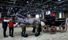 Un attelage de chevaux Trait du Nord avant l’ouverture de l’édition 2026 du Salon de l’agriculture au Parc des expositions de la Porte de Versailles, à Paris, le 20 février 2026 ( AFP / STEPHANE DE SAKUTIN )