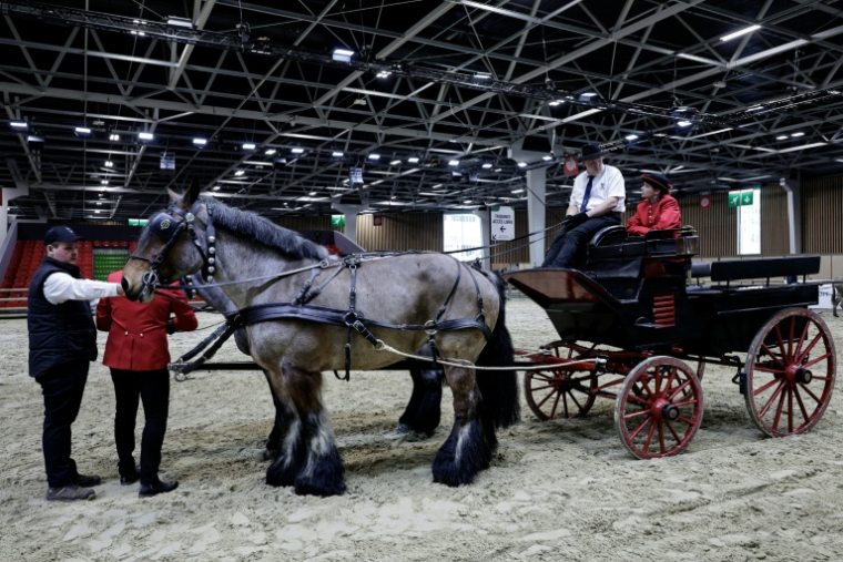 Un attelage de chevaux Trait du Nord avant l’ouverture de l’édition 2026 du Salon de l’agriculture au Parc des expositions de la Porte de Versailles, à Paris, le 20 février 2026 ( AFP / STEPHANE DE SAKUTIN )