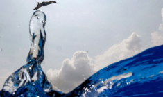 Plongeon de haut vol - Championnats du monde aquatiques