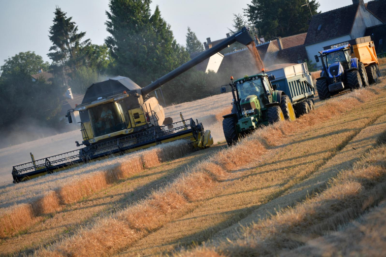( AFP / JEAN-FRANCOIS MONIER )