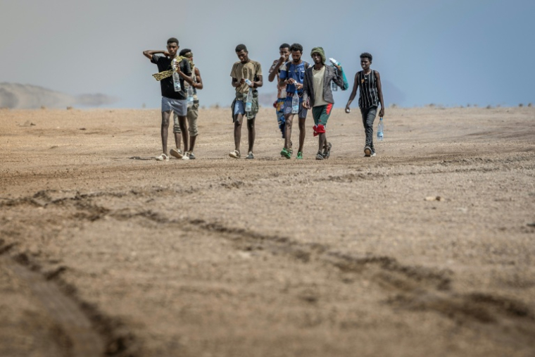 Des migrants éthiopiens marchent dans le désert, le 12 avril 2026, près d'Obock à Djibouti, en direction de l'Ethiopie, après avoir échoué à traverser jusqu'au Yémen ( AFP / Luis TATO )