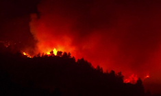 Algérie: feux de forêt dans des communes près de Blida