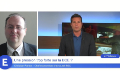 Une pression trop forte sur la BCE ?