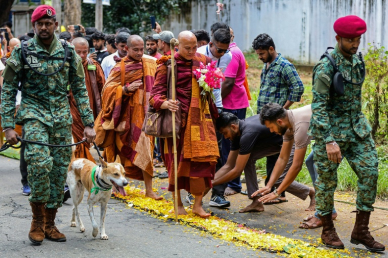 Le moine bouddhiste vietnamien Bhikkhu Pannakara (au centre), accompagné de commandos de l'armée sri-lankaise, marche avec Aloka, un chien errant secouru en Inde, au premier jour de la "marche pour la paix" à Dambulla, dans le centre-nord du Sri Lanka, le 22 avril 2026 ( AFP / - )