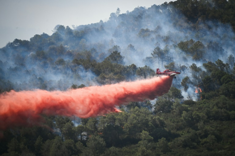 Un feu de forêt près de Narbonne, le 8 juillet 2025 ( AFP / Matthieu RONDEL )
