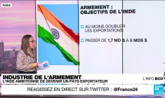 Industrie de l'armement : le marché africain convoité par les pays émergents