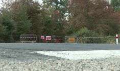 La forêt de Fontainebleau retrouve ses visiteurs après l'incendie