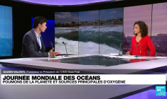 Pour sauver la planète "il faut rester actif, pas optimiste"