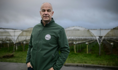 Le président de la Fédération nationale des syndicats d'exploitants agricoles (FNSEA), Arnaud Rousseau, dans une ferme fruitière à Feugarolles, le 9 janvier 2025 ( AFP / Philippe LOPEZ )