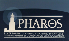 La Haute-commissaire à l'Enfance Sarah El Haïry a indiqué lundi avoir saisi la justice au sujet d'un site britannique accusé de commercialiser en ligne des poupées sexuelles d'apparence enfantine ( POOL / PATRICK KOVARIK )