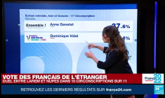 Législatives : le vote des Français de l'étranger