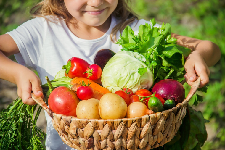 Locavors : certaines plateformes s’imposent (Crédits photo : Shutterstock)