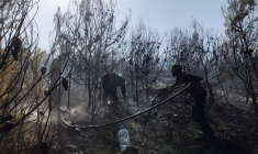 L'ALGÉRIE ACCUSE UN GROUPE LIÉ AU MAROC ET ISRAËL D'ÊTRE À L'ORIGINE DES INCENDIES
